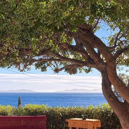 Le Rayol-Canadel-sur-Mer L'Arbousier Bed & Breakfast エクステリア 写真