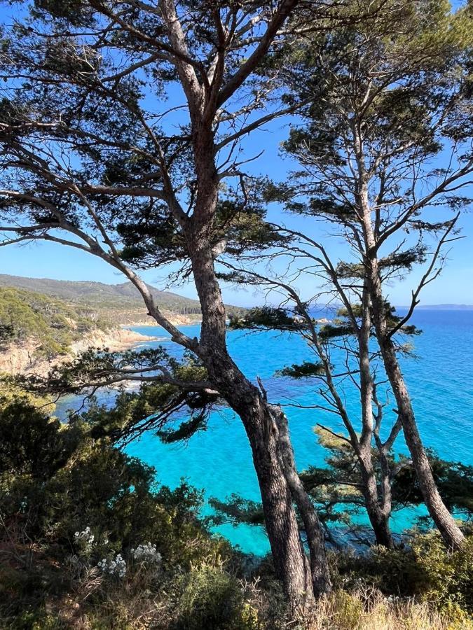 Le Rayol-Canadel-sur-Mer L'Arbousier Bed & Breakfast エクステリア 写真
