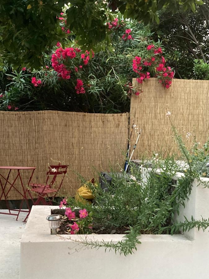 Le Rayol-Canadel-sur-Mer L'Arbousier Bed & Breakfast エクステリア 写真