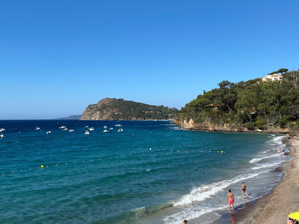 Le Rayol-Canadel-sur-Mer L'Arbousier Bed & Breakfast エクステリア 写真