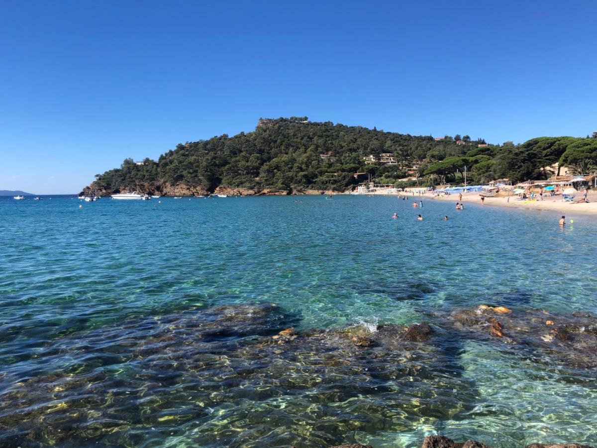 Le Rayol-Canadel-sur-Mer L'Arbousier Bed & Breakfast エクステリア 写真
